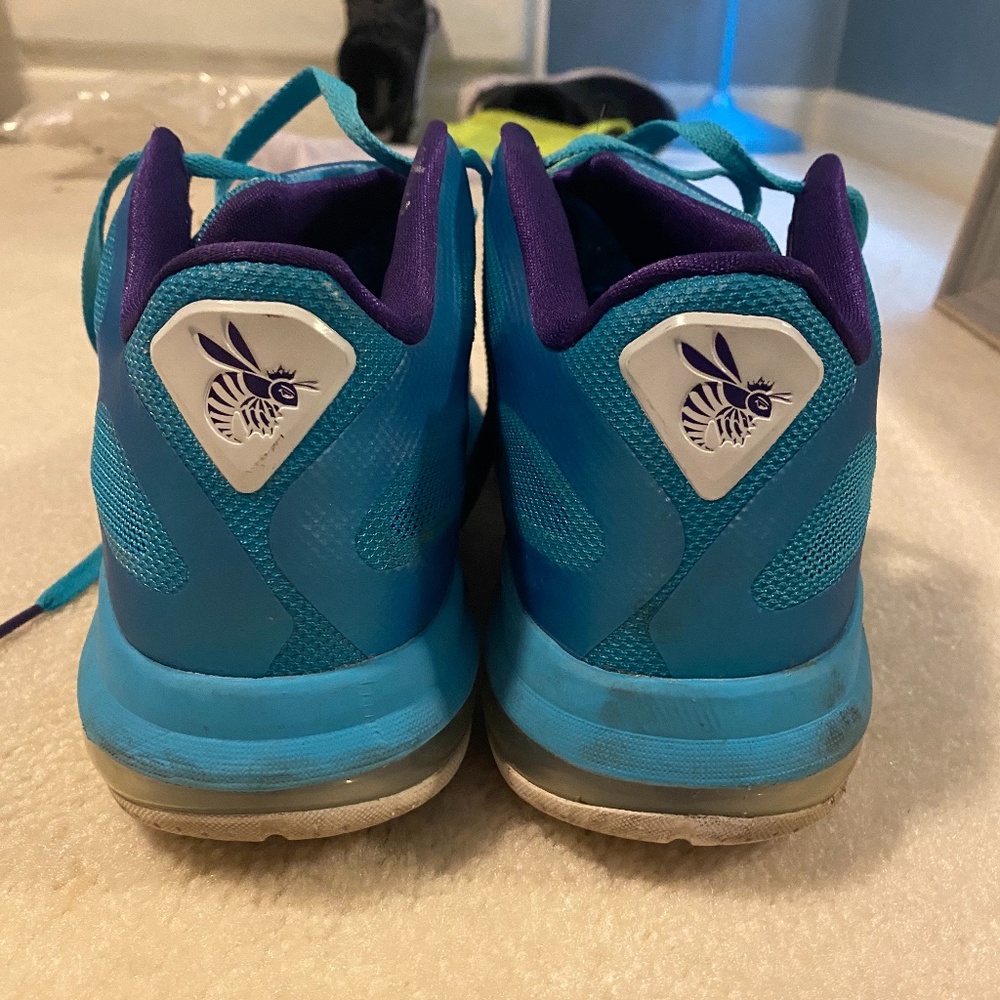 Lebron Hornets Nike Sneakers